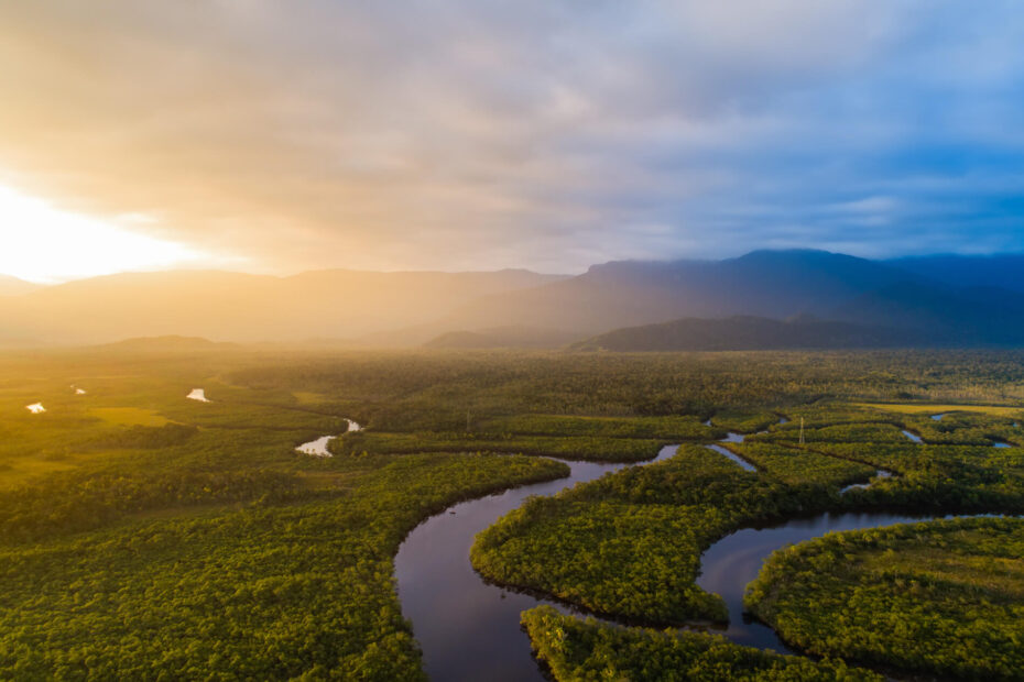 Amazonia - Amazonas - Floresta vista aérea