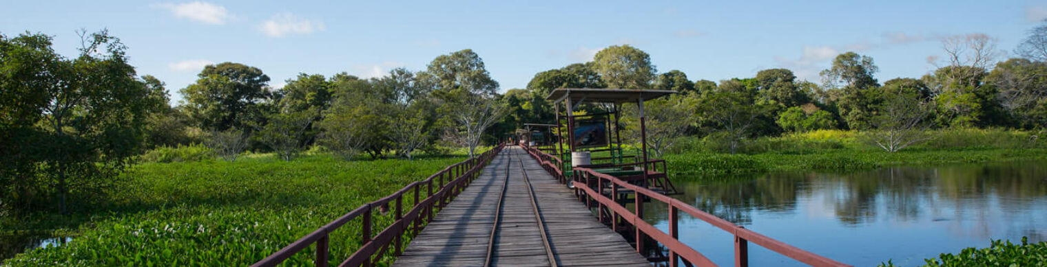South Pantanal - Mato Grosso do Sul - Rio Miranda e Passo do Lontra